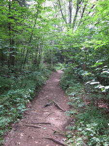 Appalachian Trail 