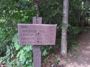 Appalachian Trail Old Speck Trail - Mahoosuk Trail 3.5 miles