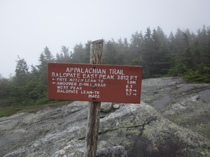 Appalachian Trail Baldplate East Peak - elevation 3812 feet