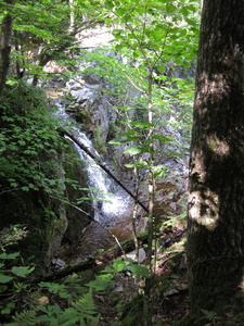 Appalachian Trail Falls