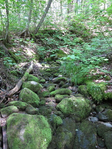 Appalachian Trail 