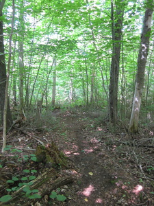 Appalachian Trail 