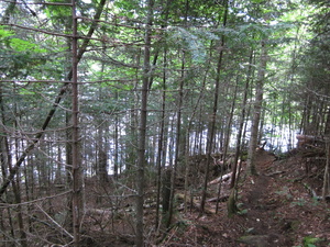 Appalachian Trail Surplus Pond