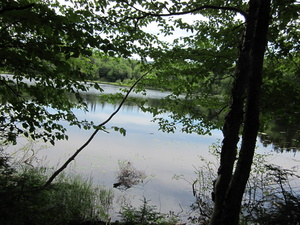 Appalachian Trail Surplus Pond