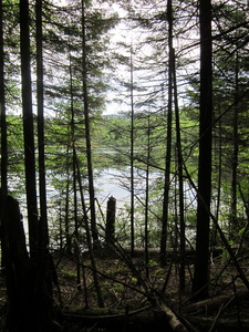 Appalachian Trail Surplus Pond