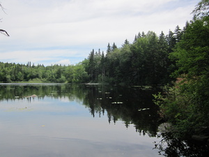 Appalachian Trail Surplus Pond