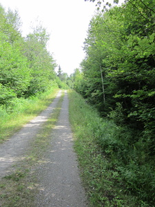 Appalachian Trail 