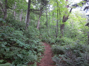 Appalachian Trail 