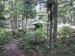 Appalachian Trail Hall Mountain Lean-to