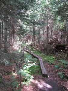 Appalachian Trail 