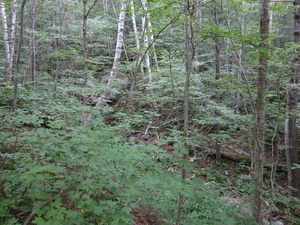 Appalachian Trail 