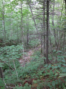 Appalachian Trail 