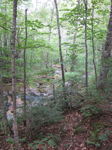 Appalachian Trail 