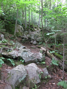 Appalachian Trail 