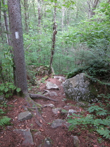 Appalachian Trail 