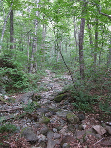 Appalachian Trail 