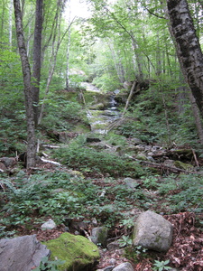 Appalachian Trail 