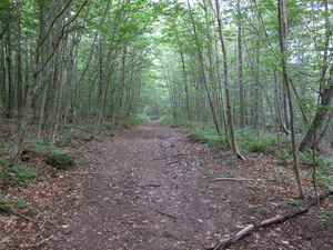 Appalachian Trail 