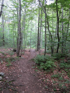 Appalachian Trail 