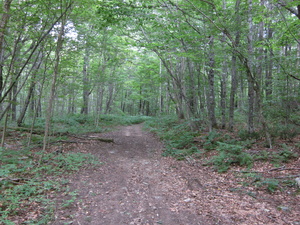 Appalachian Trail 