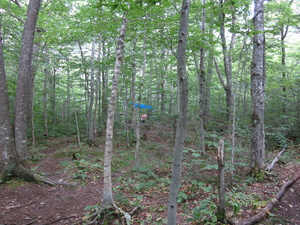 Appalachian Trail Campsite