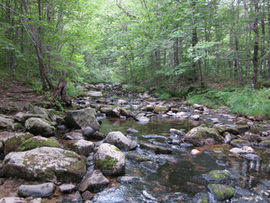 Appalachian Trail 