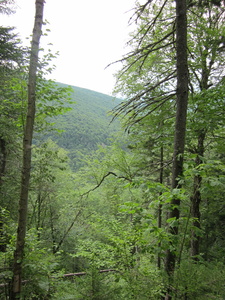 Appalachian Trail 