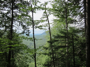 Appalachian Trail 