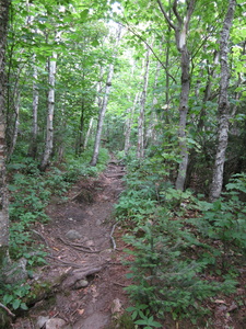 Appalachian Trail 