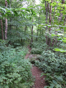 Appalachian Trail 