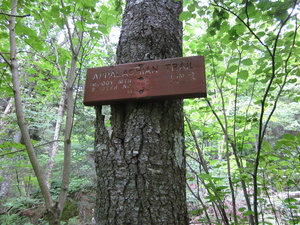 Appalachian Trail Sawyer Notch 2.4 miles