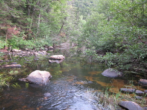 Appalachian Trail 