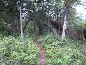 Appalachian Trail 