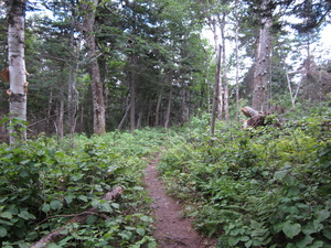 Appalachian Trail 