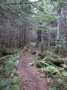 Appalachian Trail 