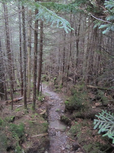 Appalachian Trail 