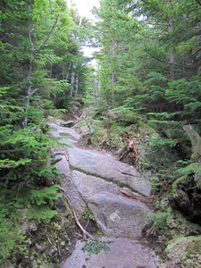 Appalachian Trail 