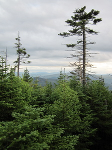 Appalachian Trail 