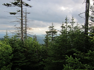 Appalachian Trail 