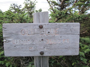 Appalachian Trail Old Blue Mountain - Elevation 3600 feet