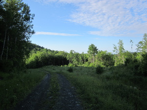 Appalachian Trail Road to trail past <a href=