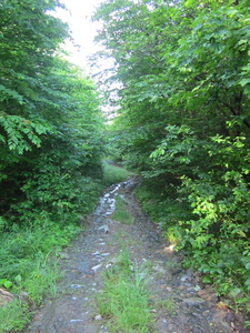 Appalachian Trail On way to trail