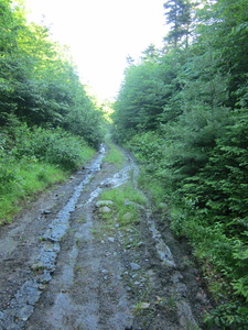 Appalachian Trail On way to trail