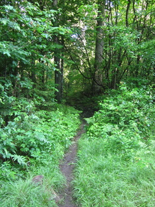 Appalachian Trail 