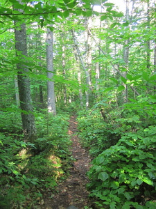 Appalachian Trail 