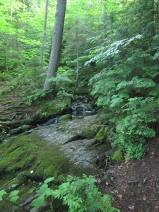 Appalachian Trail 