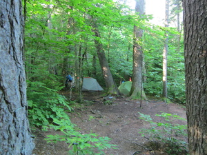 Appalachian Trail Wilson Vally Lean-to campsite