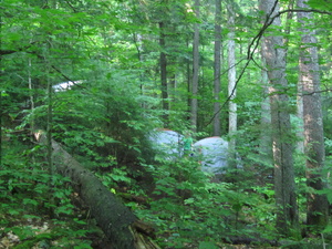 Appalachian Trail Wilson Vally Lean-to campsite