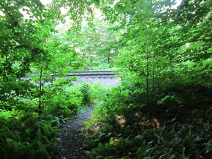 Appalachian Trail Canadian Pacific Railroad tracks