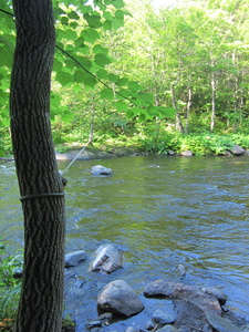 Appalachian Trail Ford, with rope over Big Wilson Stream. About 50 feet across.